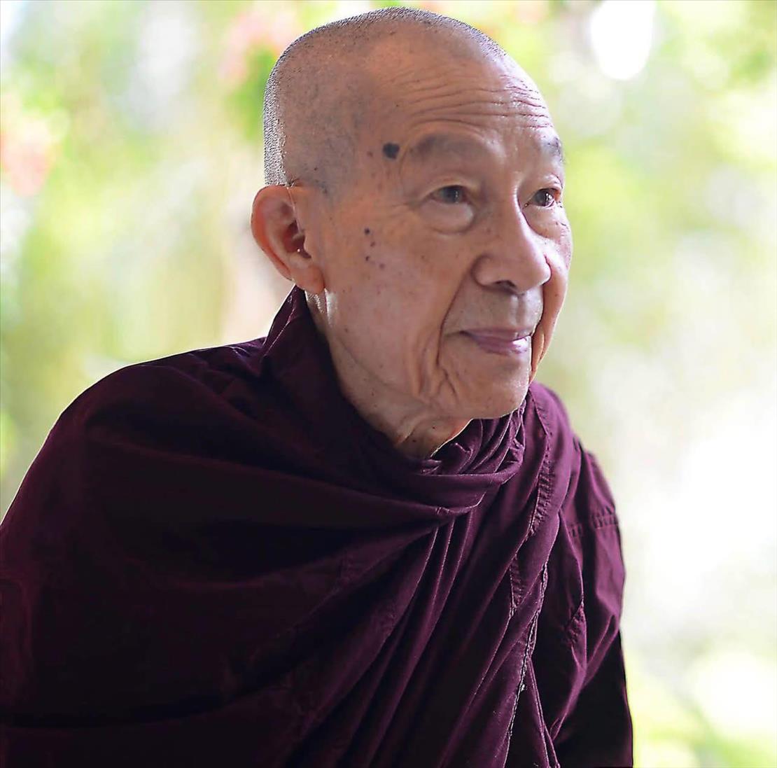 thien su kim trieu.jpg